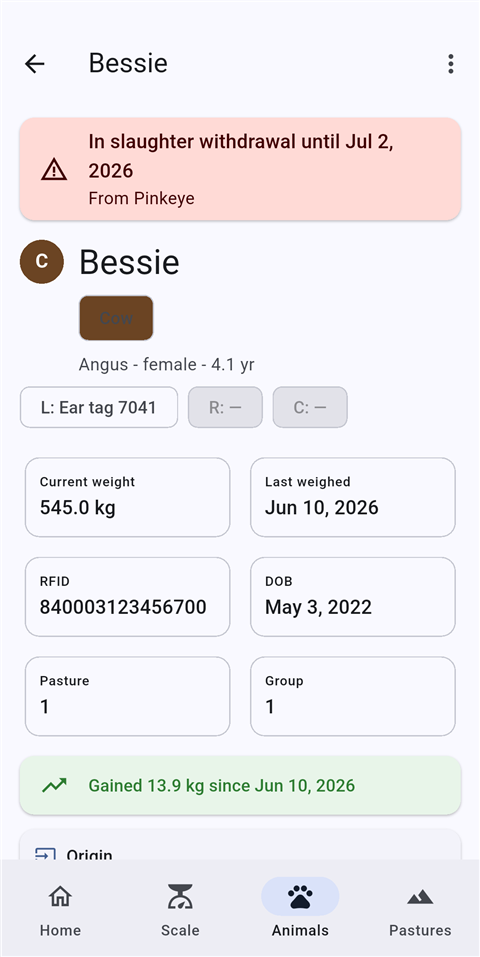 An animal record in WSysFarm showing a withdrawal warning, current weight, RFID, and a weight-gain chip